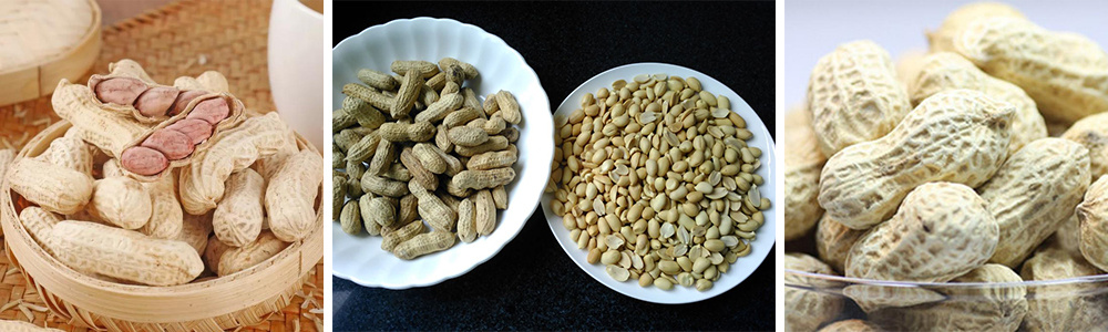Kacang panggang 