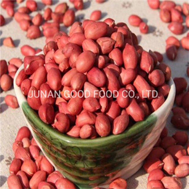 Kacang kulit merah