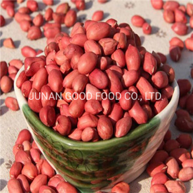 Kacang kulit merah