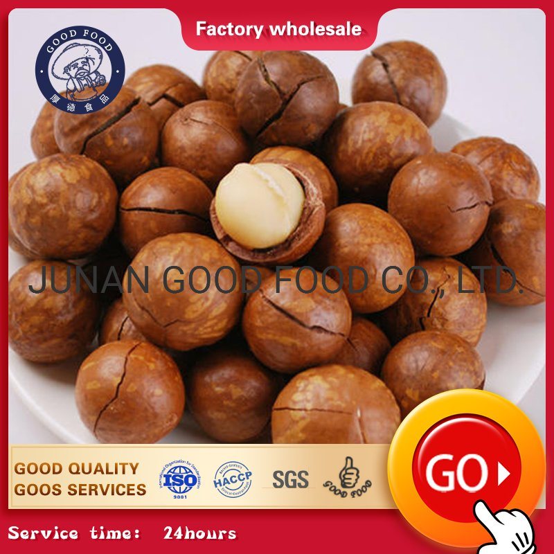 Kacang macadamia