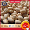 Kernels Peanut Blanched
