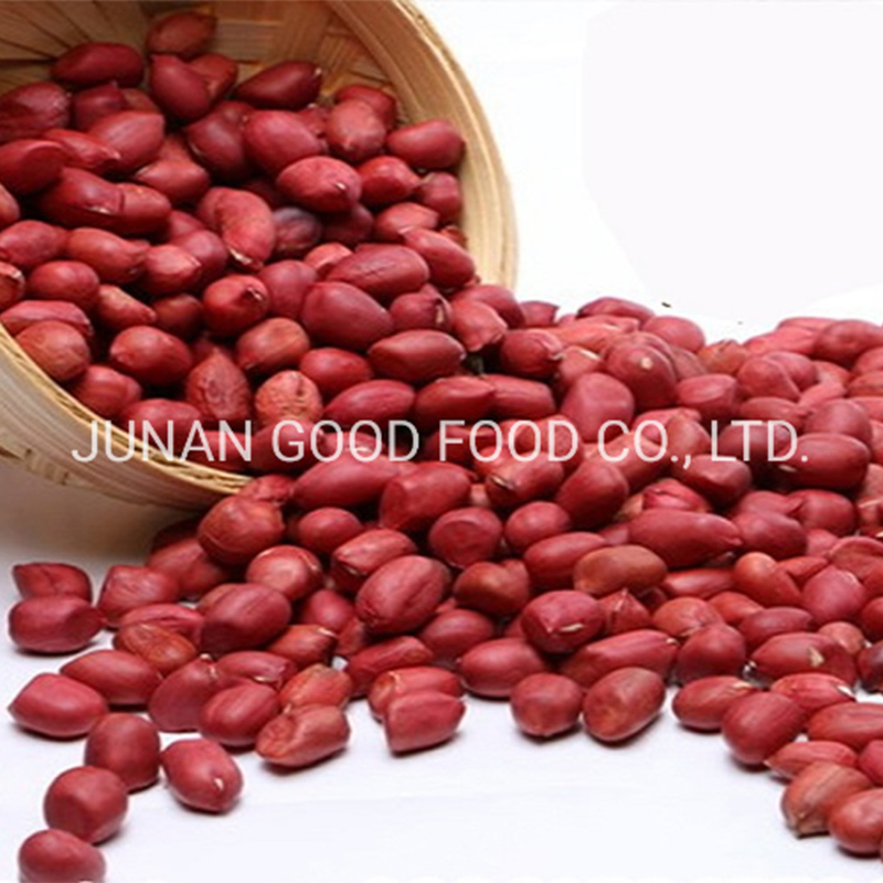 Kacang kulit merah