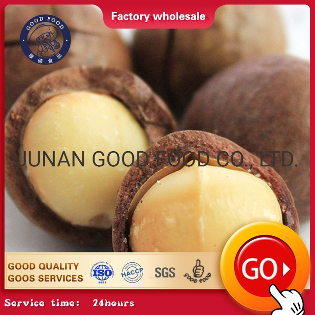 Kacang macadamia