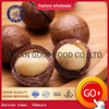 Kacang macadamia