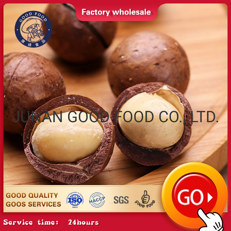 Kacang macadamia