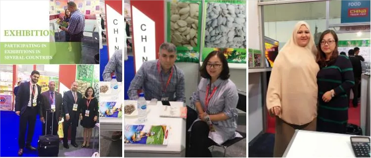 Pameran perdagangan dan pameran untuk kacang tanah, buah kering & kacang macadamia