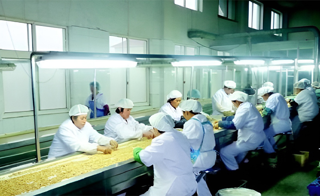 Proses Pembuatan Buah Peanut, Macadamia & kering