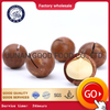 Kacang macadamia