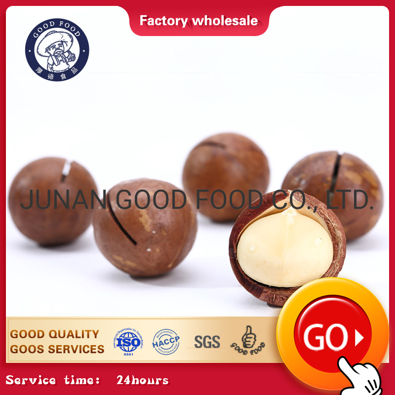 Kacang macadamia